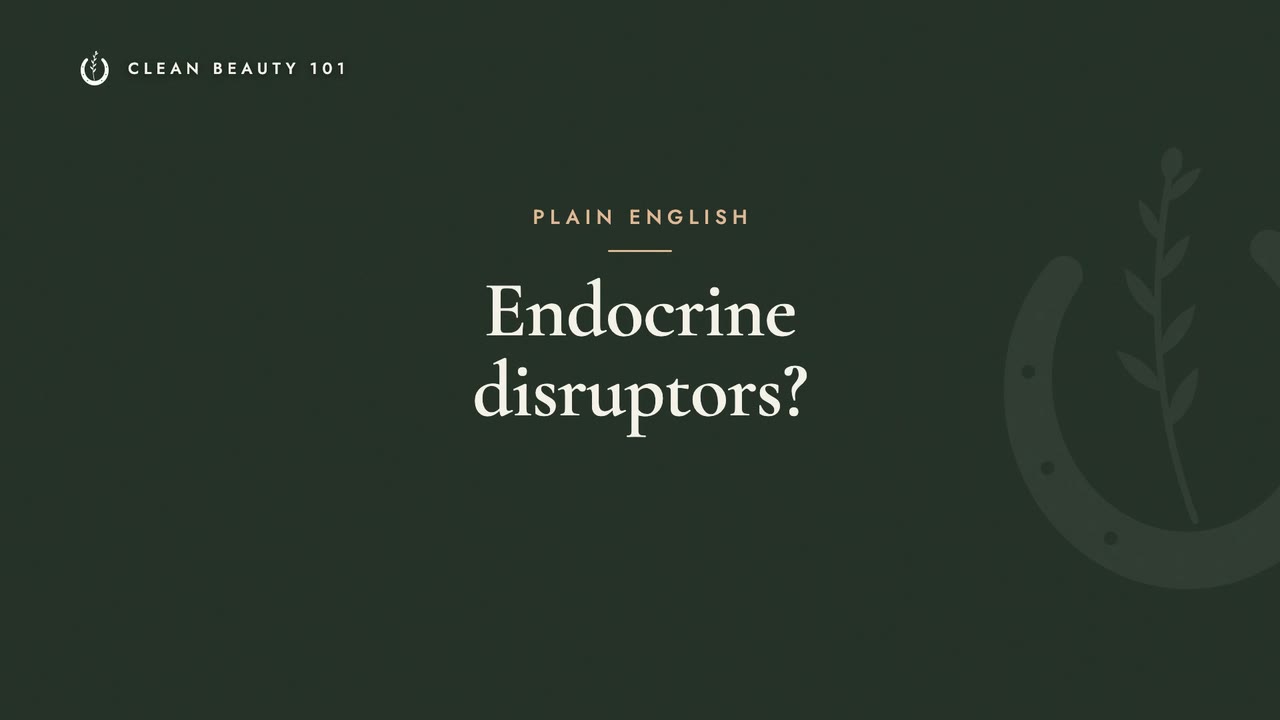 Endocrine Disruptors, in Plain English