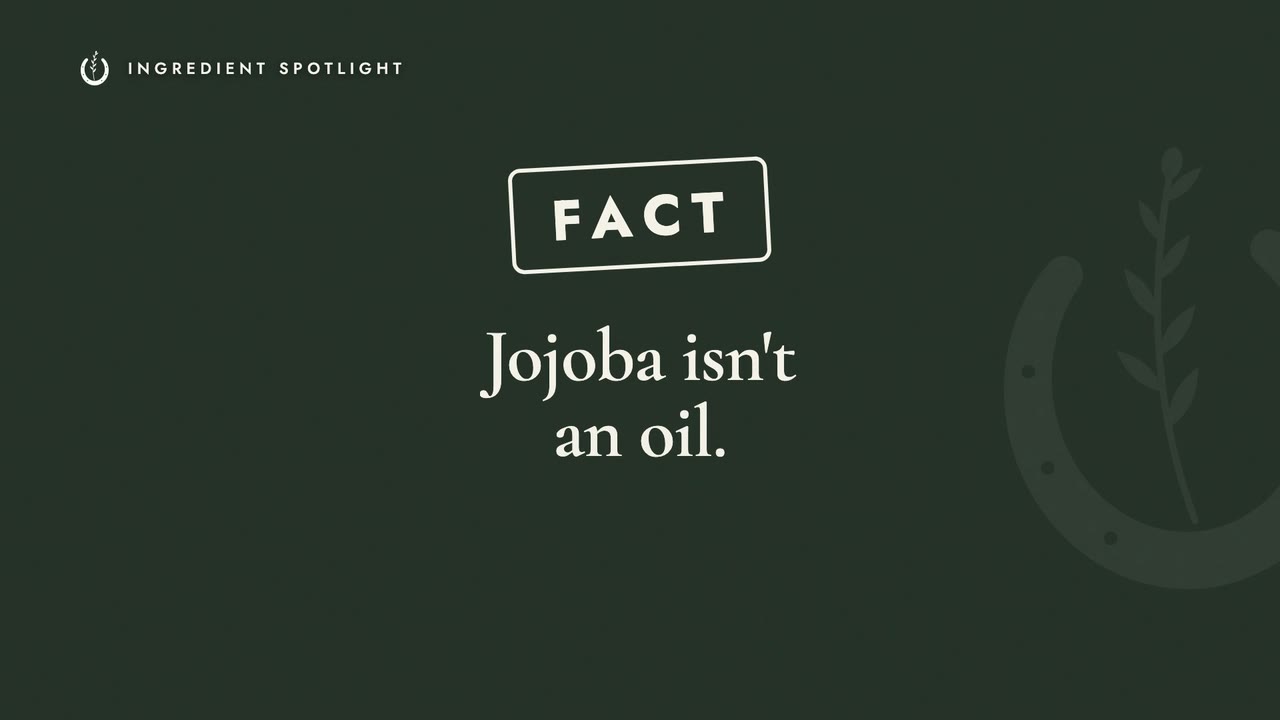 Jojoba Isn't Actually an Oil