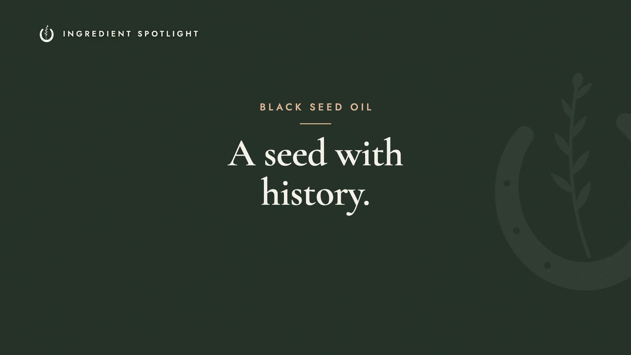 Black Seed Oil: An Old Seed, Honest Facts