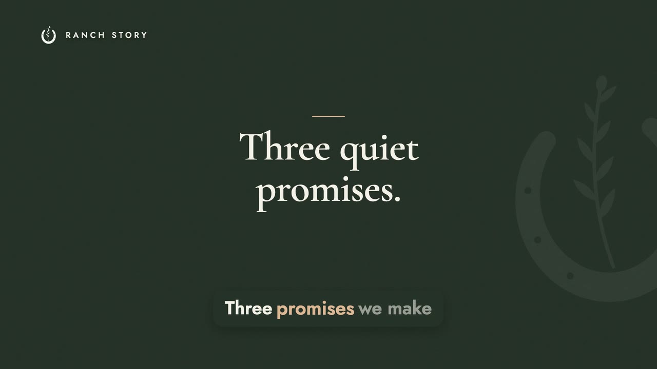 Three Quiet Promises
